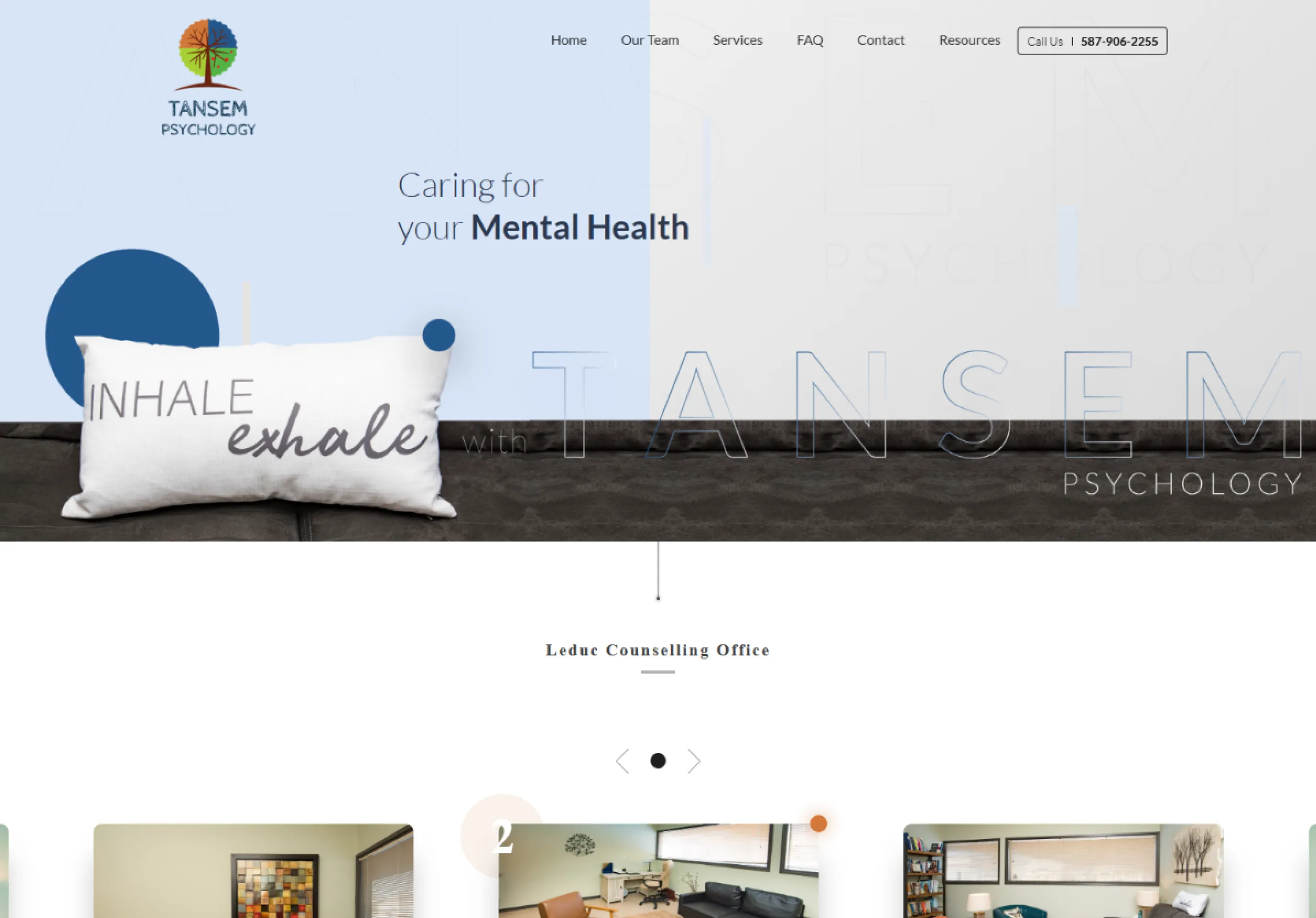 Mental Health Care for Tansem Psychology